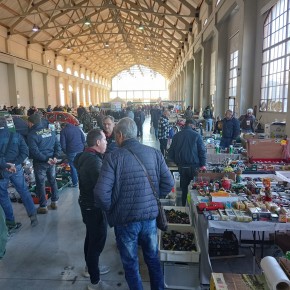 PISTOIA centro fiere LA CATTEDRALE  SABATO 25 e DOMENICA 26 GENNAIO 2025 ore 9/18.TOSCANA AUTO COLLECTION  auto, moto, ricambi d'epoca, modellismo, editoria specializzata, abbigliamento a tema, utensileria, clubs e associazioni