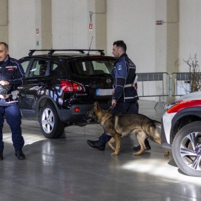 Polizia Locale, un seminario e un convegno a Pistoia per parlare del ruolo del poliziotto locale e delle unità cinofile nei controlli  Doppio appuntamento venerdì e sabato scorsi